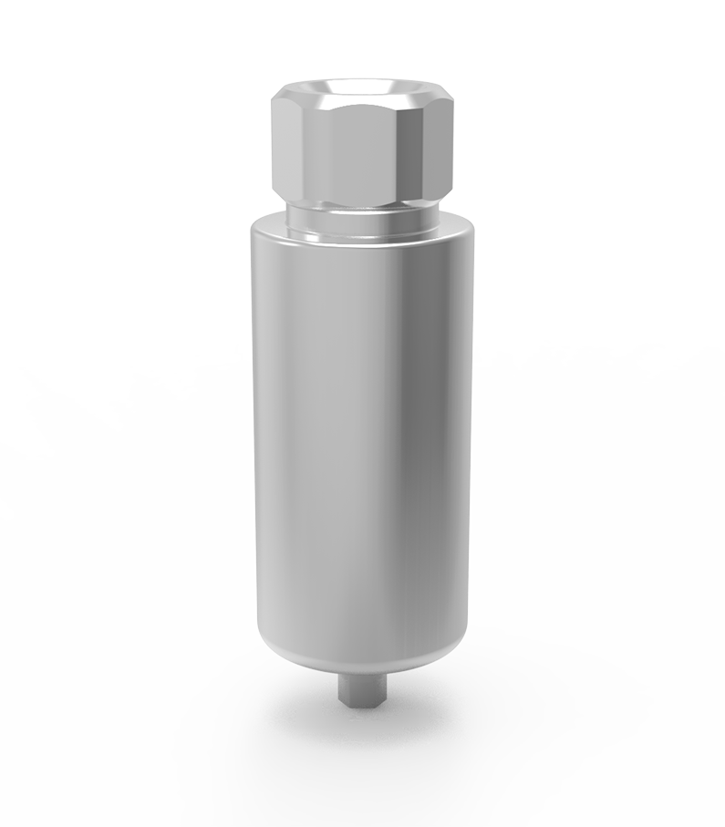 FREEFORM ABUTMENT - Dixital - Naxis
