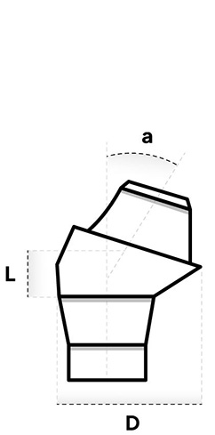 ANGULAR MULTI-UNIT ABUTMENT 17° - Dixital - Naxis