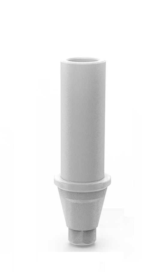 PLASTIC BURN-OUT ABUTMENT - Dixital - Naxis