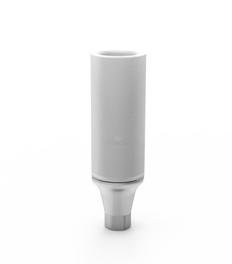 PLASTIC BURN-OUT ABUTMENT ON TITANIUM BASE - Dixital - Naxis