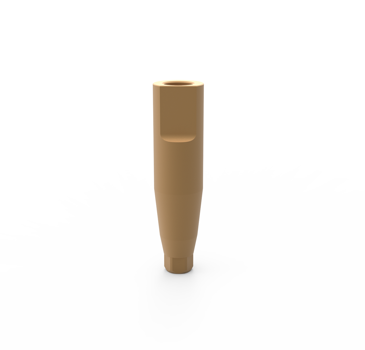 SCAN ABUTMENT FOR FIXTURE - Dixital - Naxis