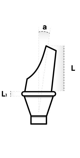 ANATOMICAL ANGULAR ABUTMENT 25° - Dixital - Naxis