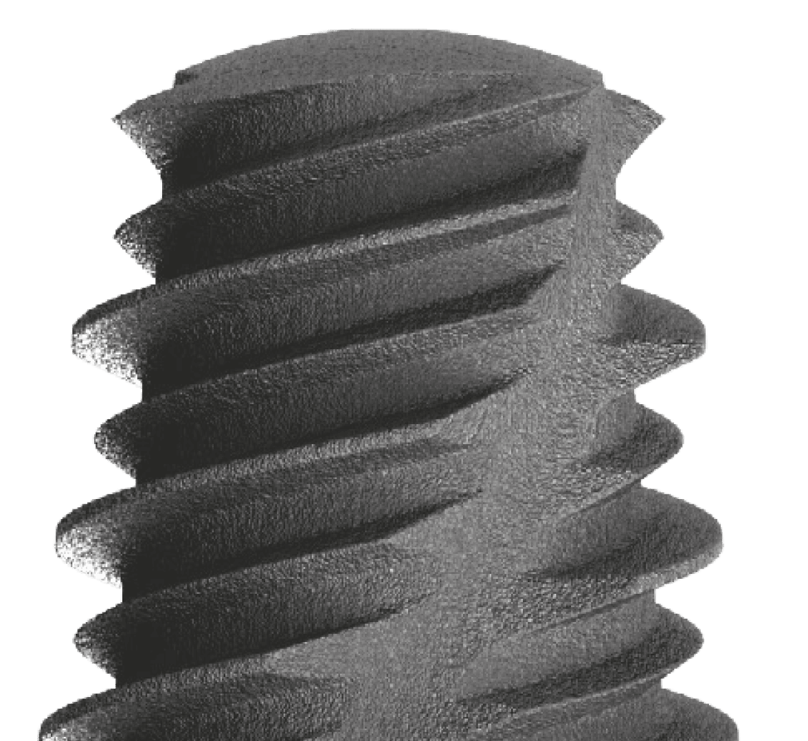 The Micro Porous Surface - Naxis